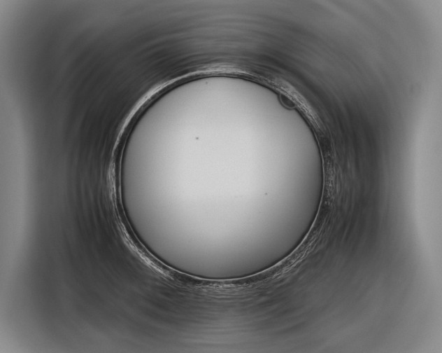 X0000116601092200912181141