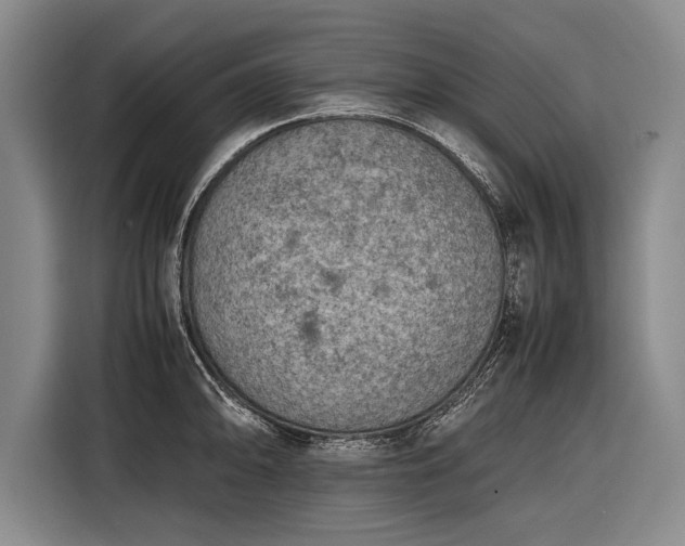 X0000116601094200912181141