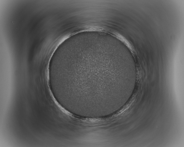 X0000116601095200912181141