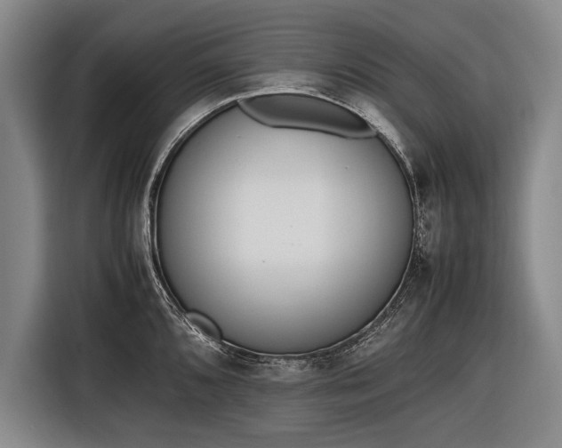 X0000116601096200912181141