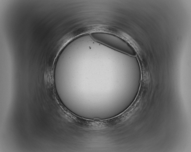 X0000116601097200912181141