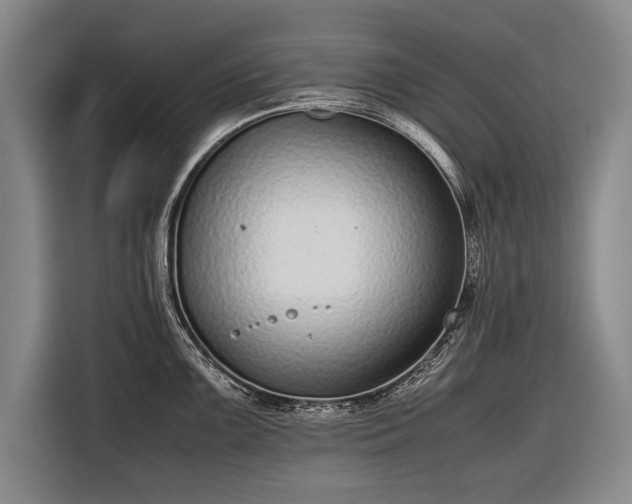 X0000116601099200912181141