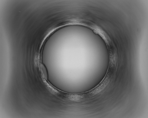X0000116601100200912181141