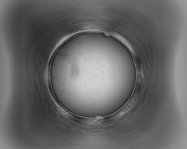 X0000116601101200912181141