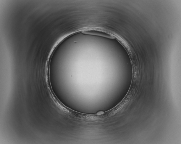 X0000116601102200912181141