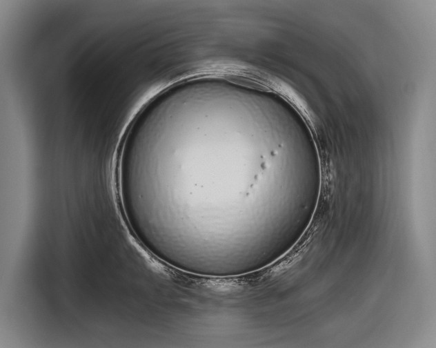 X0000116601103200912181141