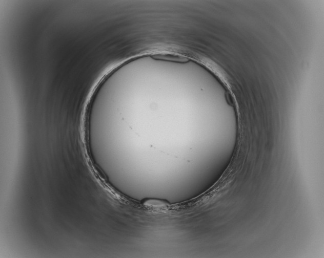 X0000116601104200912181141