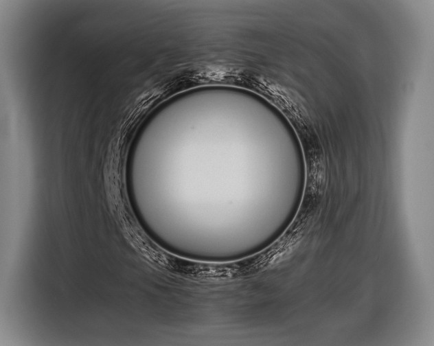 X0000116601105200912181140
