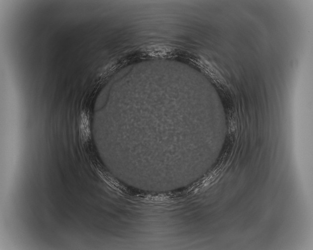X0000116601106200912181140