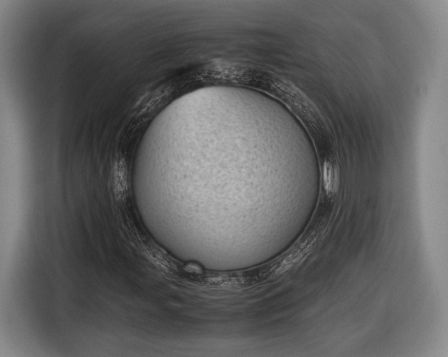 X0000116601107200912181140