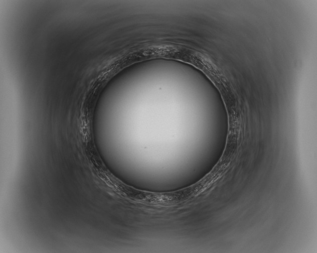 X0000116601109200912181140