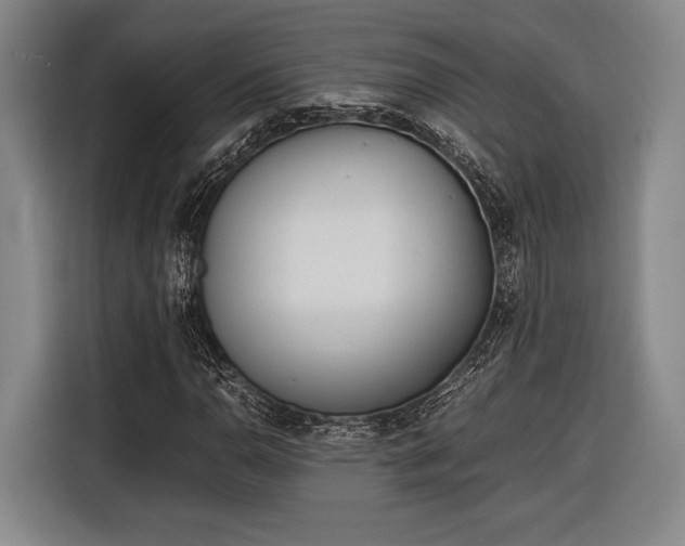 X0000116601110200912181140