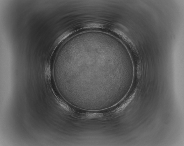 X0000116601113200912181140
