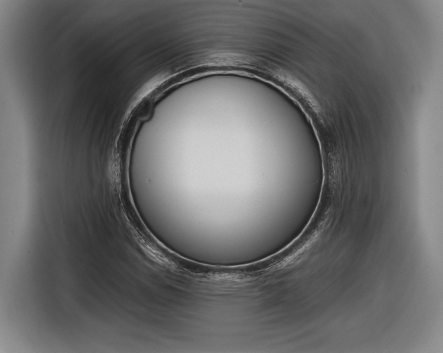 X0000116601114200912181140
