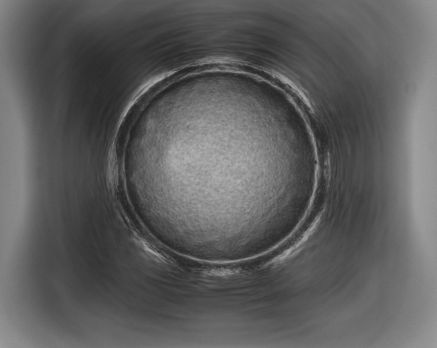 X0000116601117200912181140