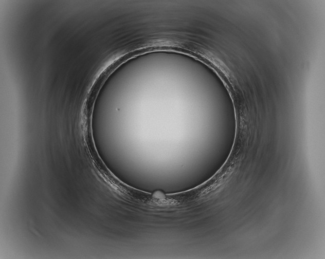 X0000116601119200912181140