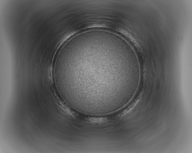X0000116601121200912181140