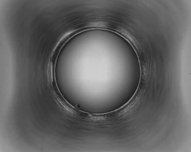 X0000116601123200912181140