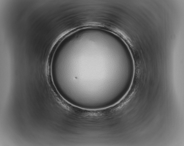 X0000116601125200912181141
