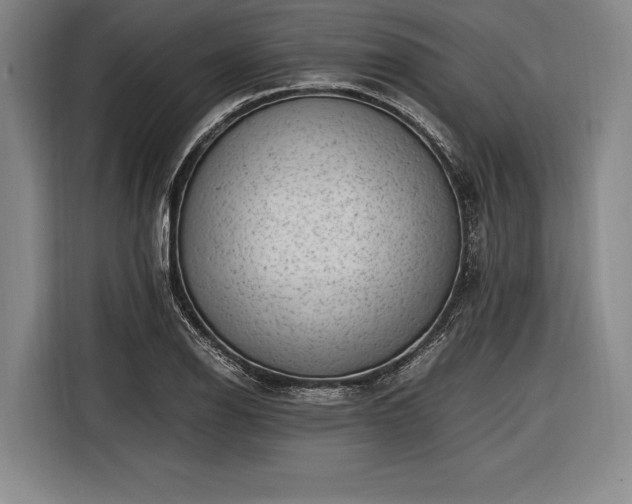 X0000116601126200912181141