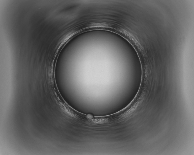 X0000116601129200912181141