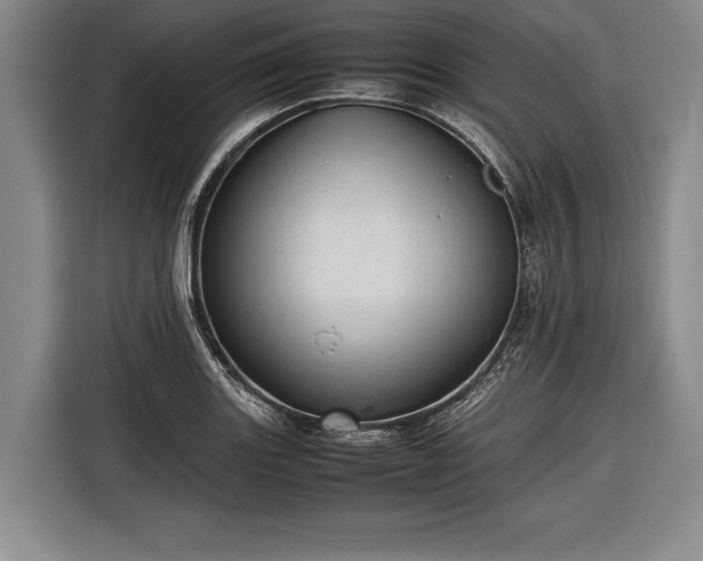 X0000116601131200912181141