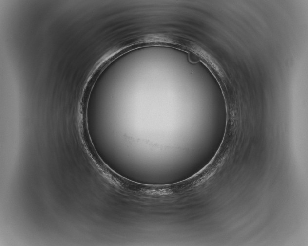 X0000116601133200912181141