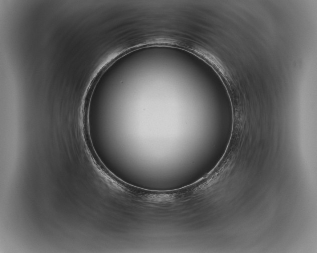 X0000116601135200912181141