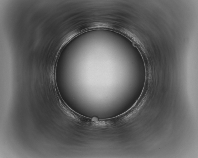 X0000116601137200912181141