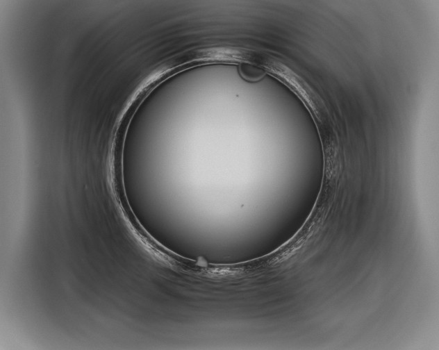 X0000116601139200912181141