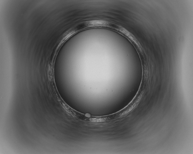 X0000116601145200912181141
