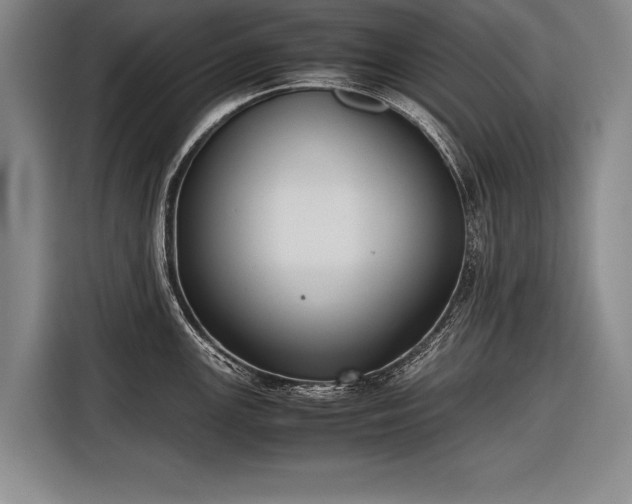 X0000116601147200912181141