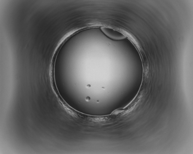 X0000116601149200912181141