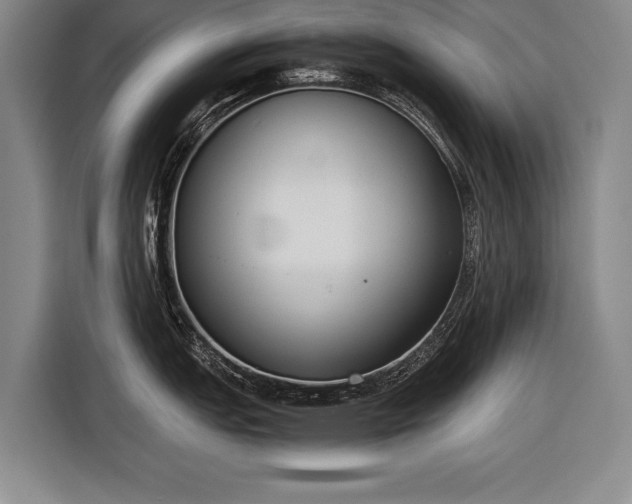 X0000116601151200912181141
