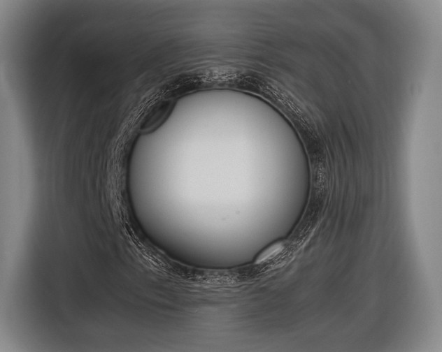 X0000116601153200912181140