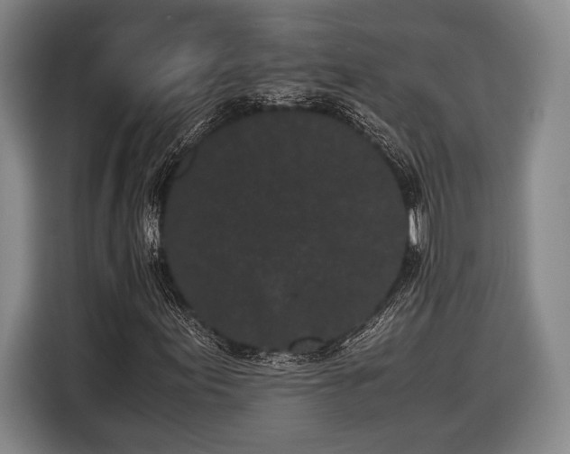 X0000116601155200912181140