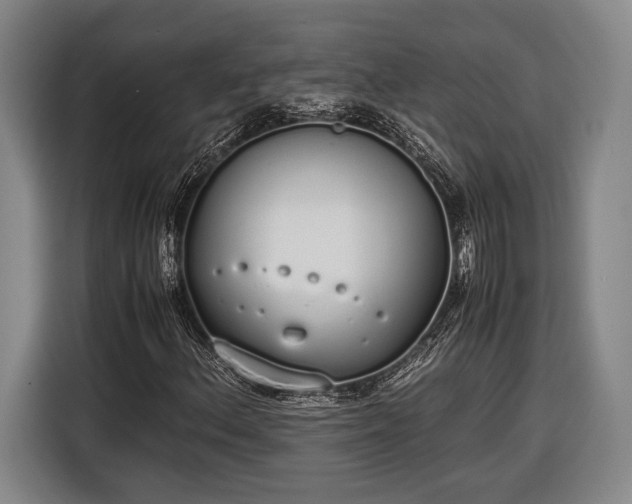 X0000116601156200912181140