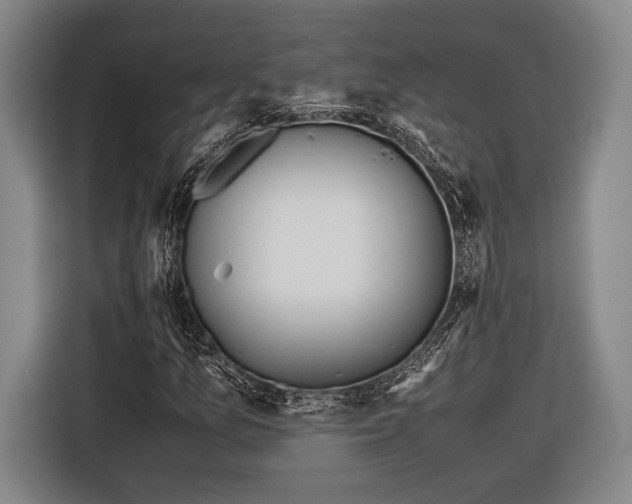 X0000116601157200912181140