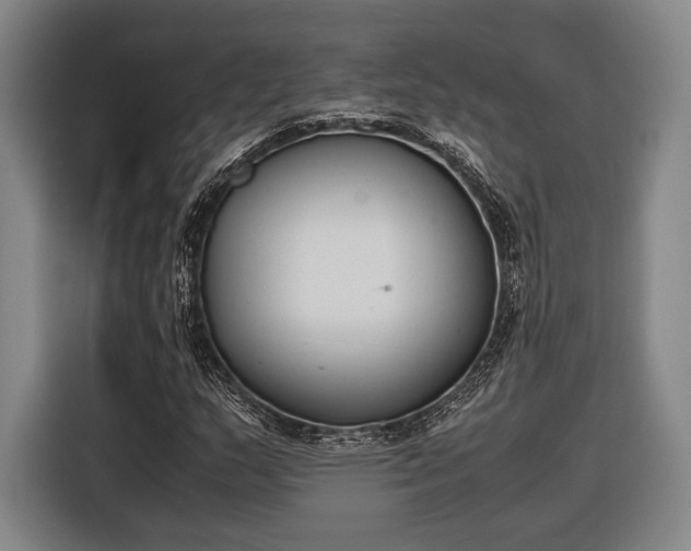 X0000116601159200912181140