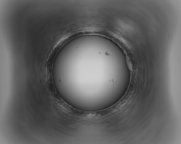 X0000116601160200912181140
