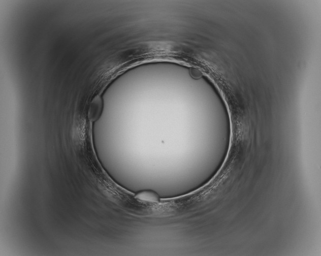 X0000116601161200912181140