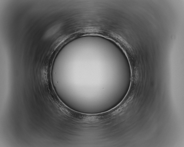 X0000116601162200912181140