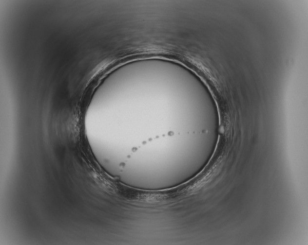 X0000116601163200912181140