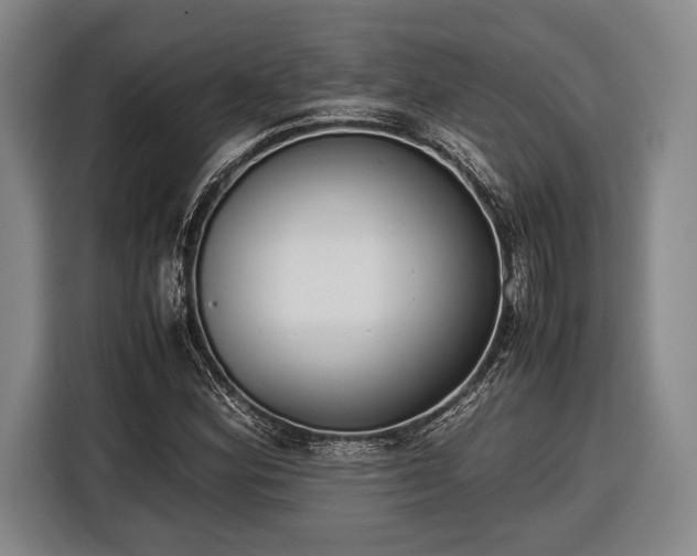 X0000116601164200912181140