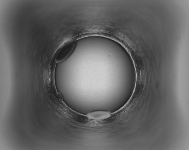 X0000116601165200912181140