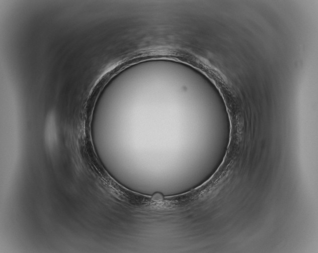 X0000116601166200912181140