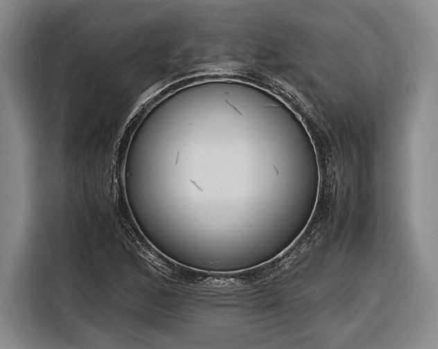 X0000116601168200912181140
