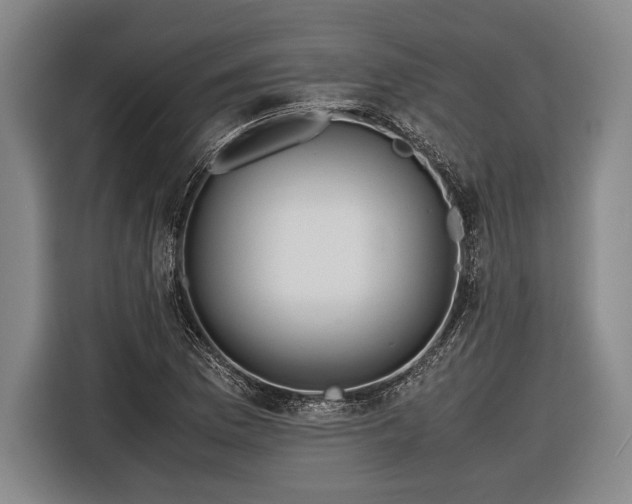 X0000116601169200912181140