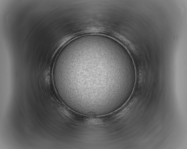 X0000116601170200912181140