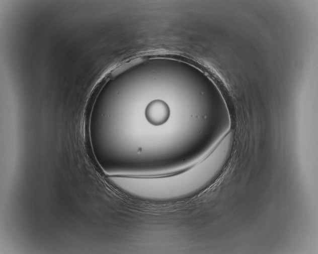 X0000116601173200912181140